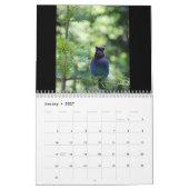 Die Landschaftsfotografie von Michael Snyder Kalender (Jan 2027)