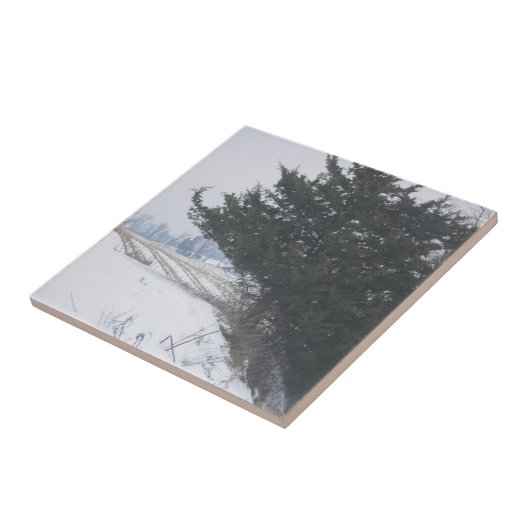 "Die Landwirtschaft" Fliese (Seite)