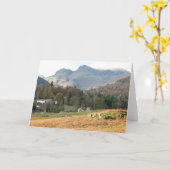 Die Langdale Pikes - leere Grüße Karte (Gelbe Blume)