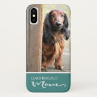 Die langhaarige Dackel-Mama addieren Ihr HundeFoto