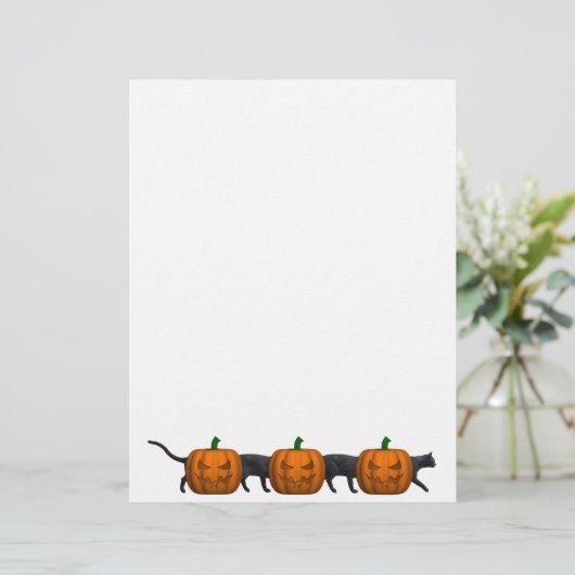 Die längste Katze der Welt (Stehend Vorderseite)