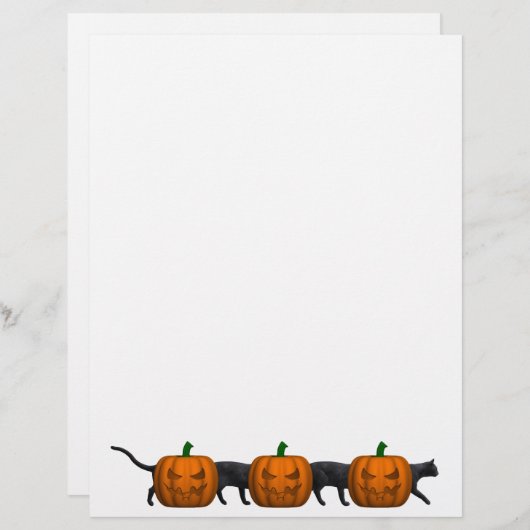 Die längste Katze der Welt (Vorne/Hinten)