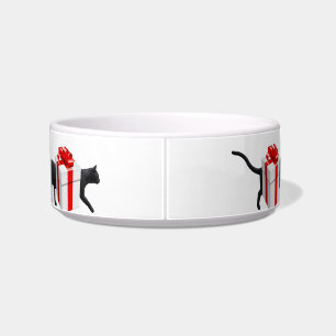 Die längste Katze der Welt Napf