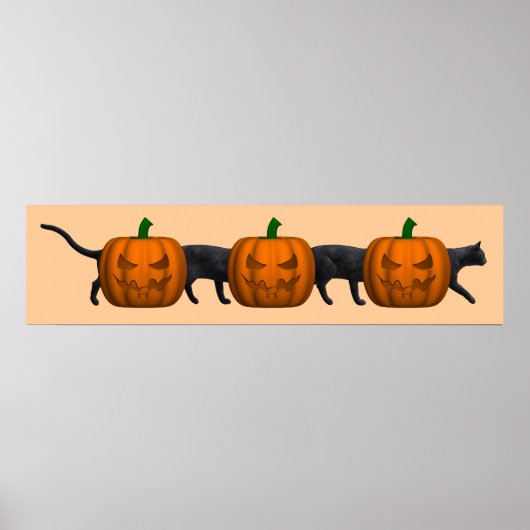 Die längste Katze der Welt Poster (Vorne)