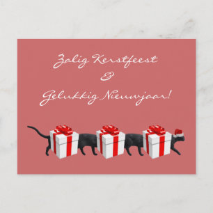 Die längste Katze der Welt Postkarte