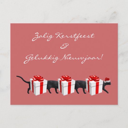 Die längste Katze der Welt Postkarte (Vorderseite)