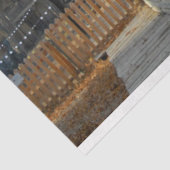 Die Laterne Seidenpapier (Ausschnitt)