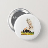 die lebendgebärenden Vierbeiner von John James Aud Button (Vorne & Hinten)