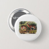 die lebendgebärenden Vierbeiner von John James Aud Button (Vorne & Hinten)