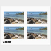 Die lebendige Insel Aruba Rechteckiger Aufkleber (Blatt)