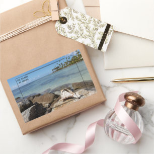 Die lebendige Insel Aruba Rechteckiger Aufkleber