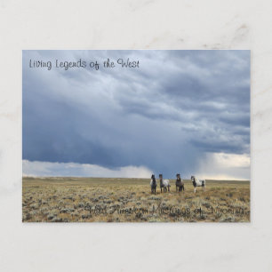 Die lebendige Legende des Westens - Postkarte