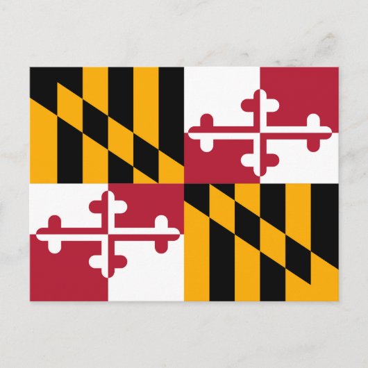 Die lebendige Maryland-Staatsflagge Postkarte (Vorderseite)