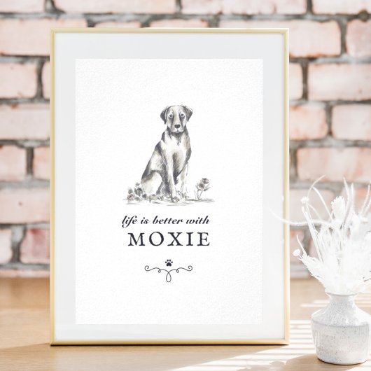 Die Lebensdauer von Labrador ist besser mit einem Poster