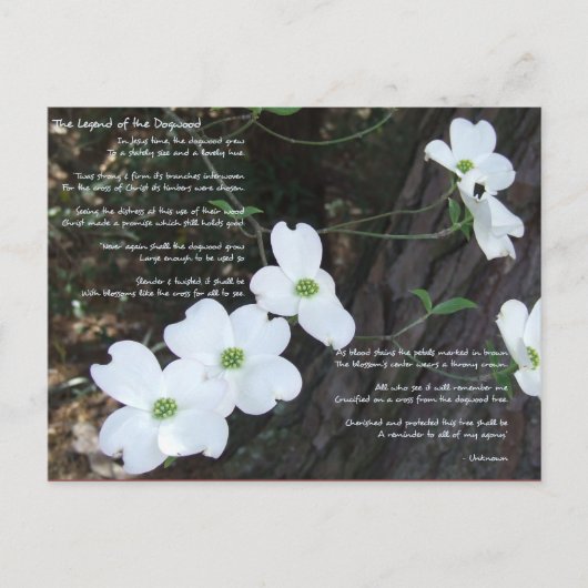 Die Legende des Dogwoods Postkarte (Vorderseite)