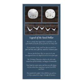 Die Legende des Sand-Dollars Fotodruck