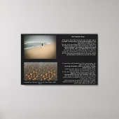 Die Leinwand der Sternenflotte (Vorderseite)