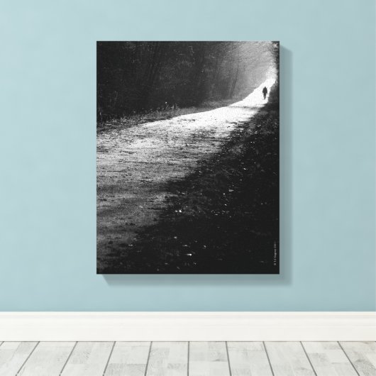 Die Leinwand des Trails (Insitu (Holzboden))