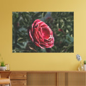 Die Leinwand für Winterfeiern (Insitu (Wohnzimmer))