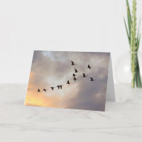 Die letzte Chemo Celebration Nature Card