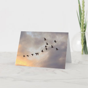 Die letzte Chemo Celebration Nature Card Karte