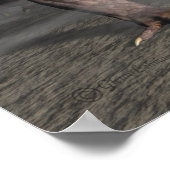 Die letzten poster (Ecke)