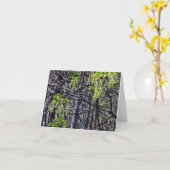 Die Leuchter der Waldanmerkungs-Karten-Natur Karte (Gelbe Blume)