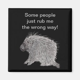 Die Leute machen mir den falschen Weg Porcupine Magnet