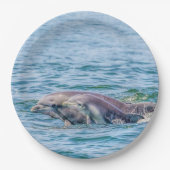 Die Liebe-Delphin der Mutter u. Baby-PapierTeller Pappteller (Vorderseite)