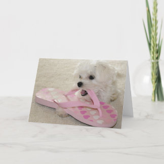 Die Liebe der Schuhe Karte