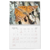 Die Liebe der Wanzen Kalender (Feb 2027)