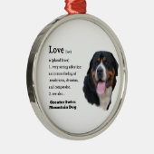 Die Liebe des Schweizer Hundes ist... Silbernes Ornament (Rechts)