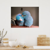 Die Liebe, die wir pazifische Blauparrotlets-Poste Poster (Küche)