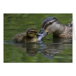 Die Liebe einer Mutter