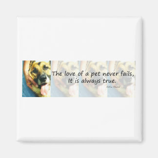 Die Liebe eines Haustieres Magnet