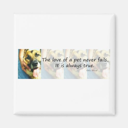 Die Liebe eines Haustieres Magnet (Vorne)