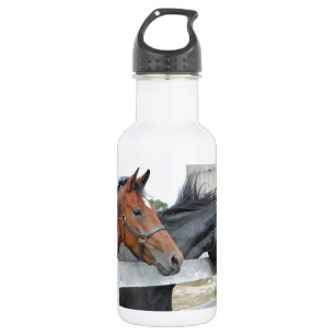 Die Liebe Pferde Edelstahlflasche