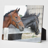 Die Liebe Pferde Fotoplatte (Seite)