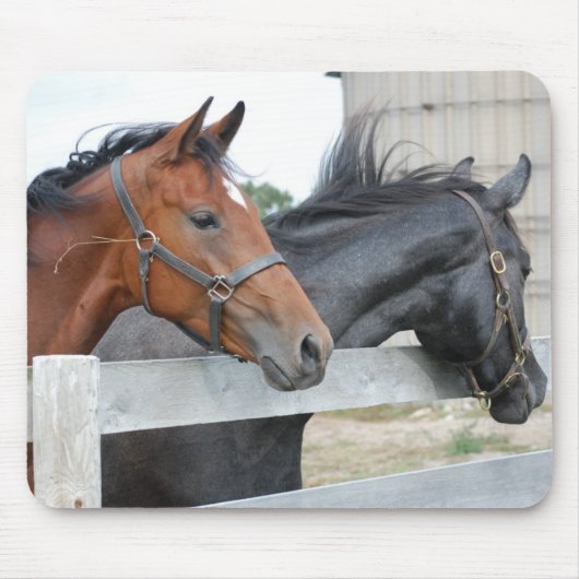 Die Liebe Pferde Mousepad (Vorne)