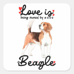 Die Liebe wird von einem Beagle gehalten Quadratischer Aufkleber