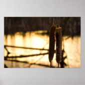 Die Liebhaber Poster (Vorne)