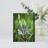 Die Lila Farbe Postkarte (Stehend Vorderseite)