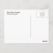 Die Lila Farbe Postkarte (Rückseite)