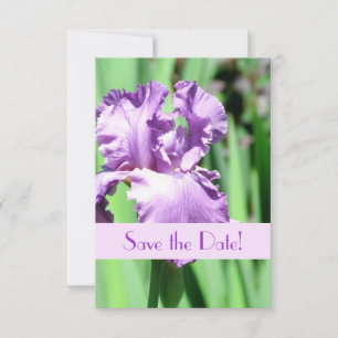 Die Lila Iris-Ankündigung Datum freihalten Save The Date