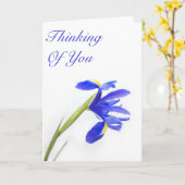 Die lila Iris-Blume, die an Sie denkt, kardieren Karte (Gelbe Blume)