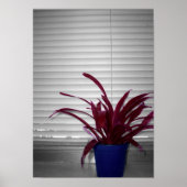 Die Lila Pflanze Poster (Vorne)