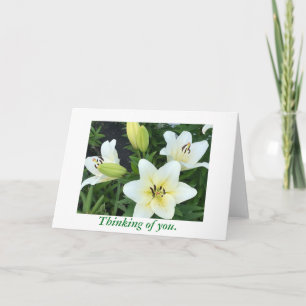 Die Lilien des weißen Gelben Tages denken an Ihre Karte