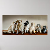 Die Linie Poster (Vorne)