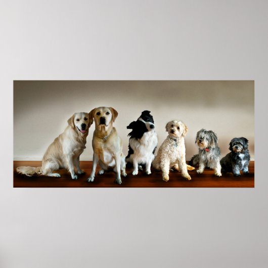 Die Linie Poster (Vorne)