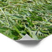 Die Lösung für einen schlechten Spaß Poster (Ecke)